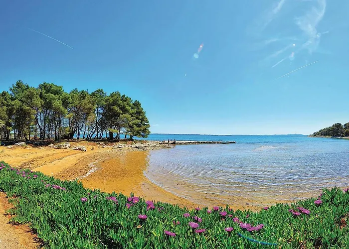 Apartmán 1 Bedroom In *